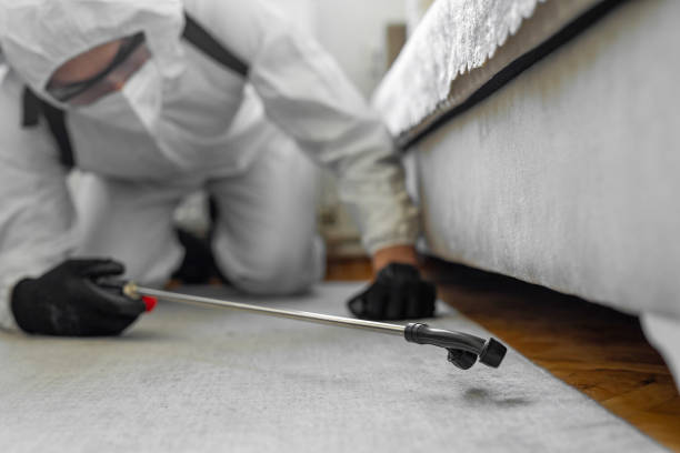 Professional Termite Control technician working in Yorklyn, PA
